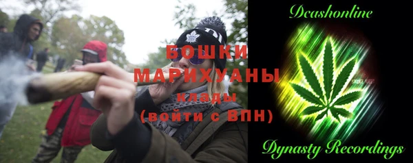 spice Алексин