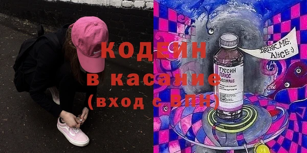 индика Алзамай
