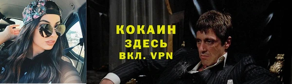индика Алзамай