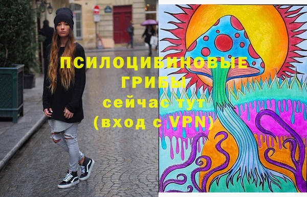 тгк Алексеевка