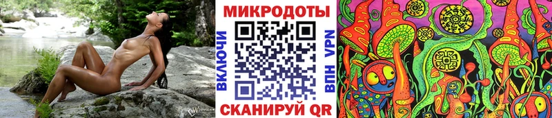Галлюциногенные грибы Psilocybine cubensis  сколько стоит  Междуреченск 